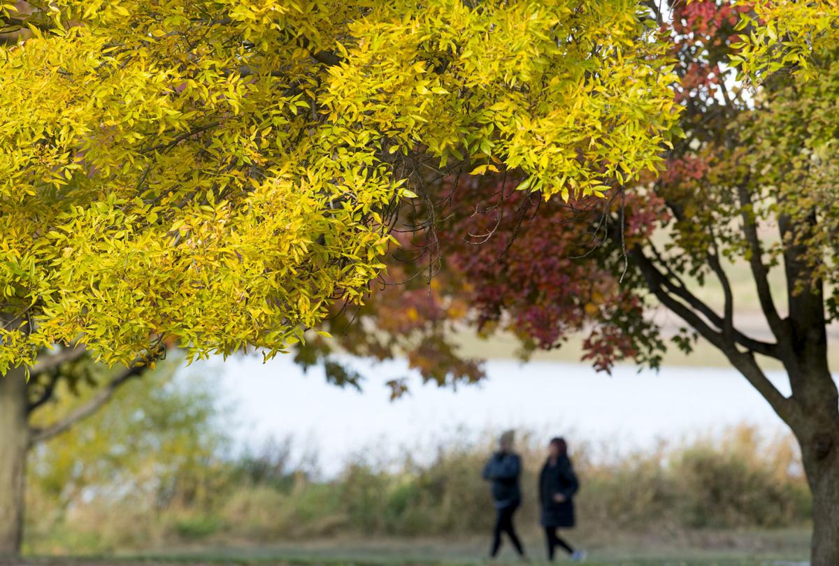 Fall feature