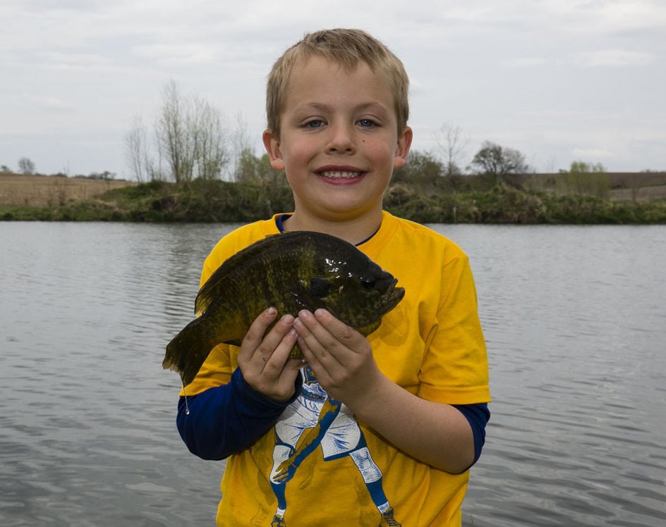 Steal my System for Catching Big Bluegills all Day - MidWest Outdoors