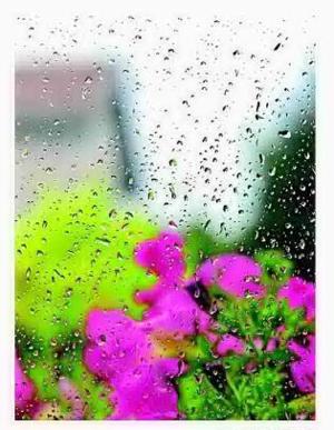 featured-image