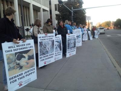 Candlelight vigil for dog