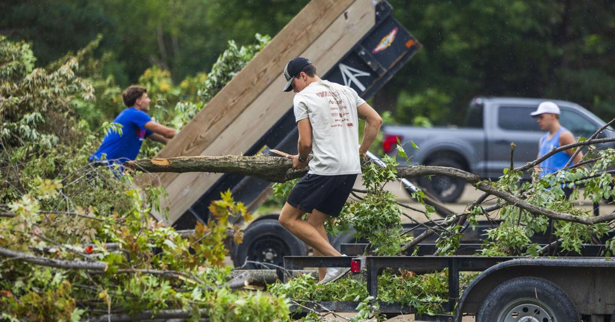 Tree debris in your yard? Here's what to do if you live in Lincoln May 19, 2026