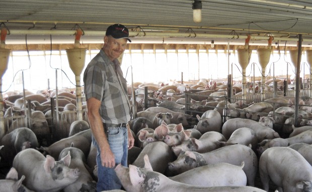 Epilogue: Farmer takes the waste and odor out of hog manure | Special ...