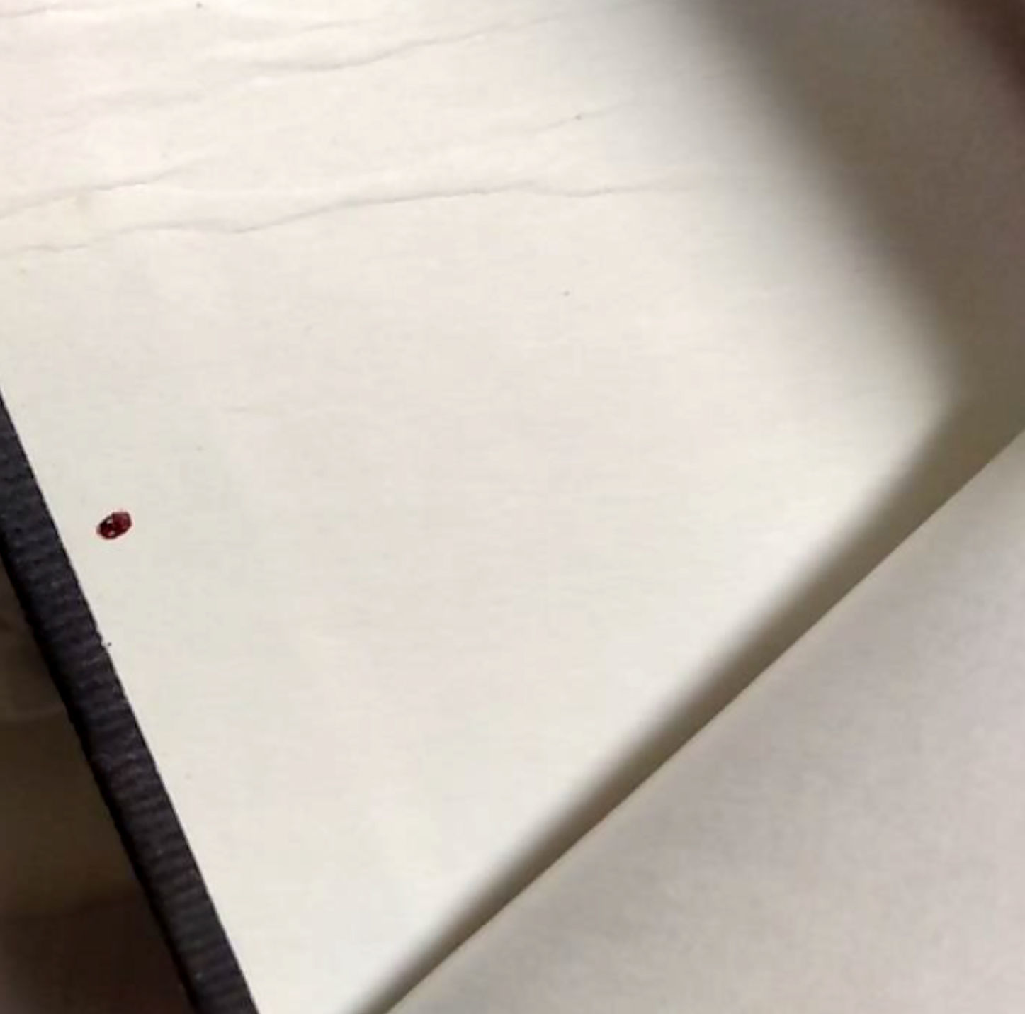 bed bugs in library books