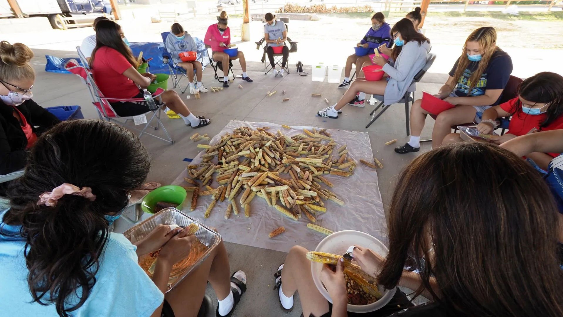 How the Winnebago are planting ancient corn to regrow their culture