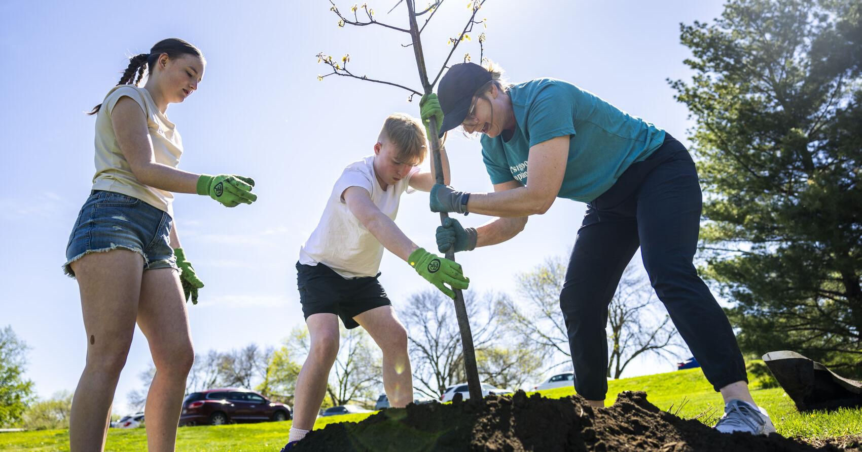 Lincoln-based Arbor Day Foundation celebrates another year of planting trees - Vimarsana News