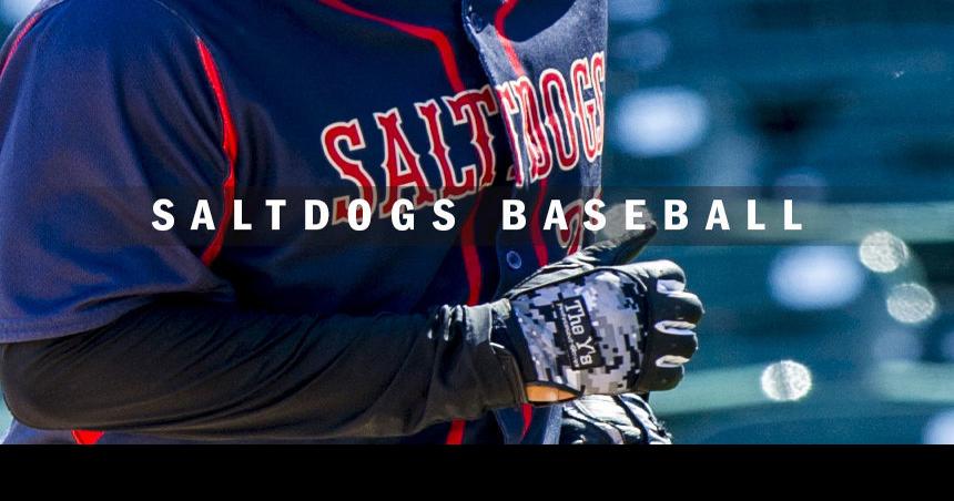 Chicago Dogs vs. Saltdogs 