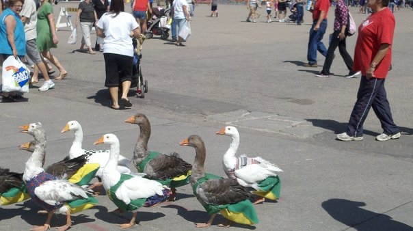Nebraska State Fair
