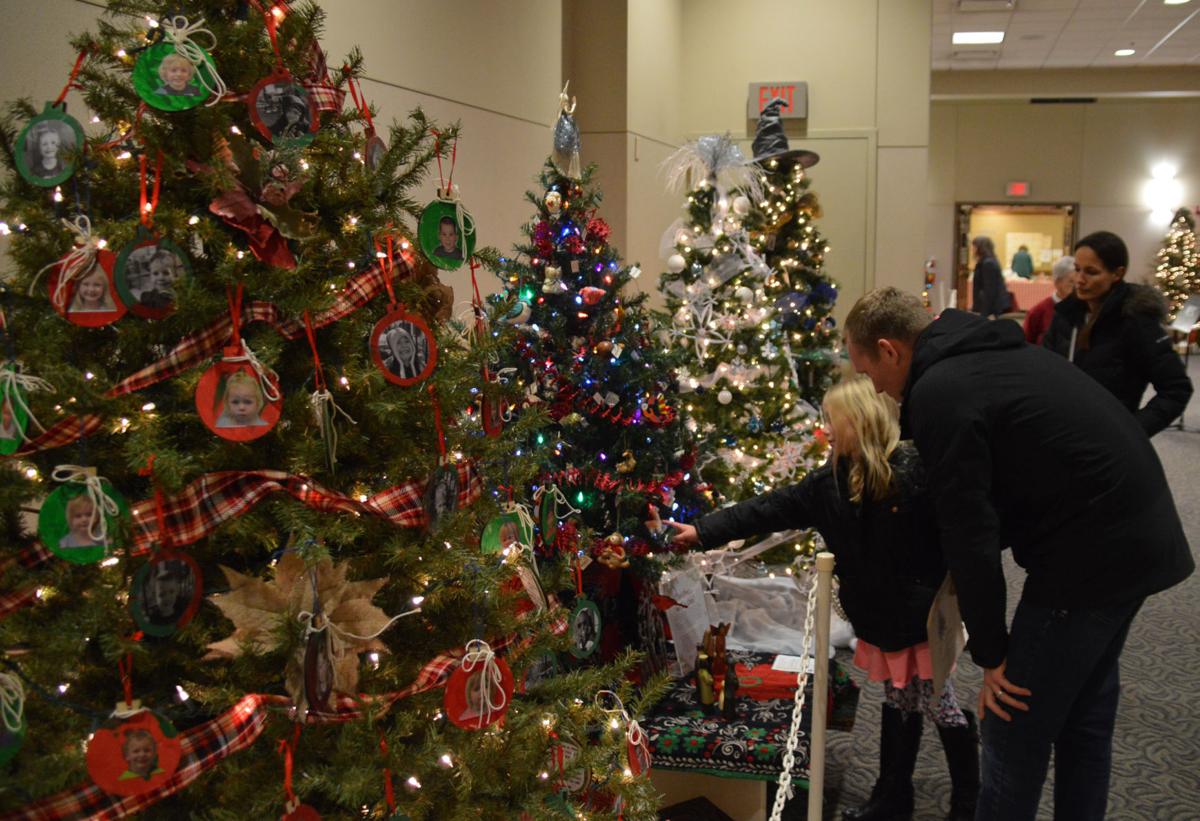 Holiday of Trees