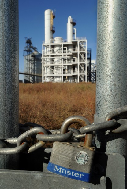 Genesis plant