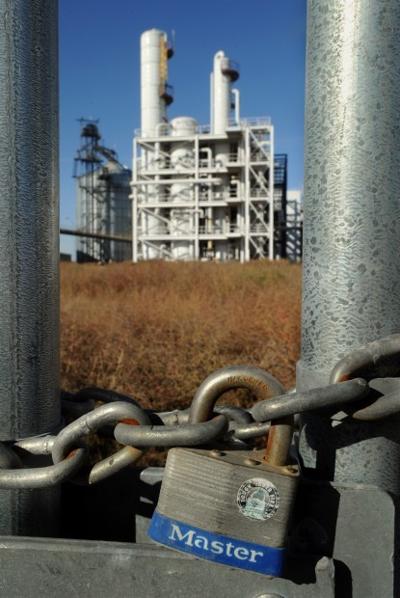 Genesis plant