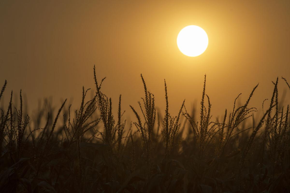 Harvest Season 9.21