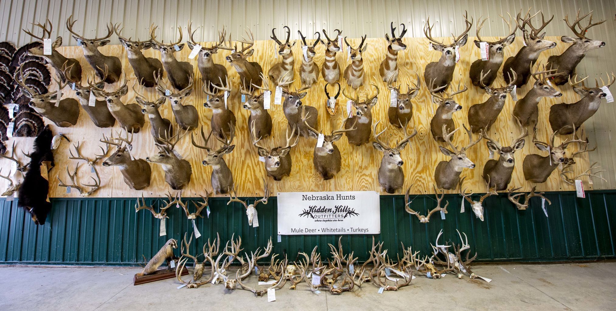 nebraska mule deer outfitters