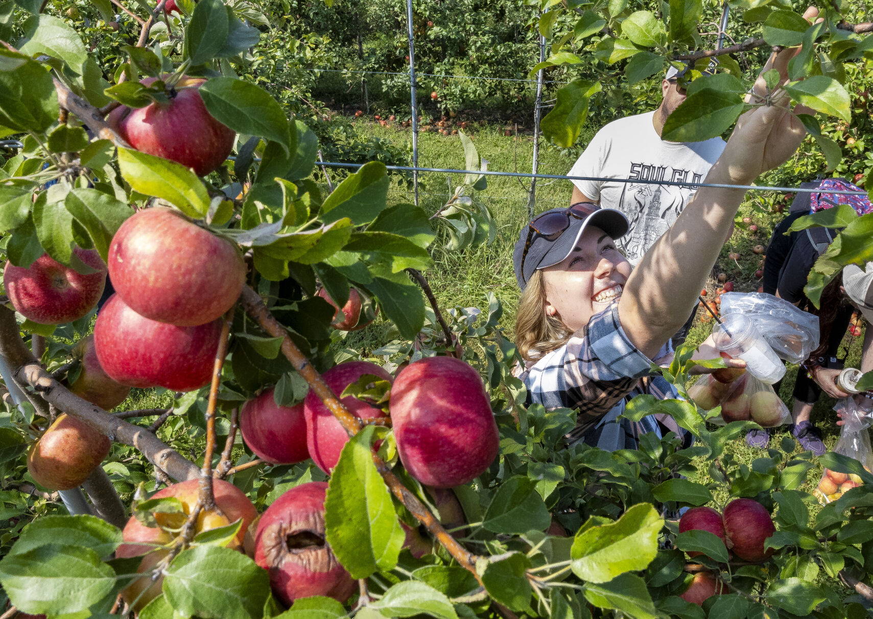 Photos 55th annual AppleJack Festival draws visitors to Nebraska City