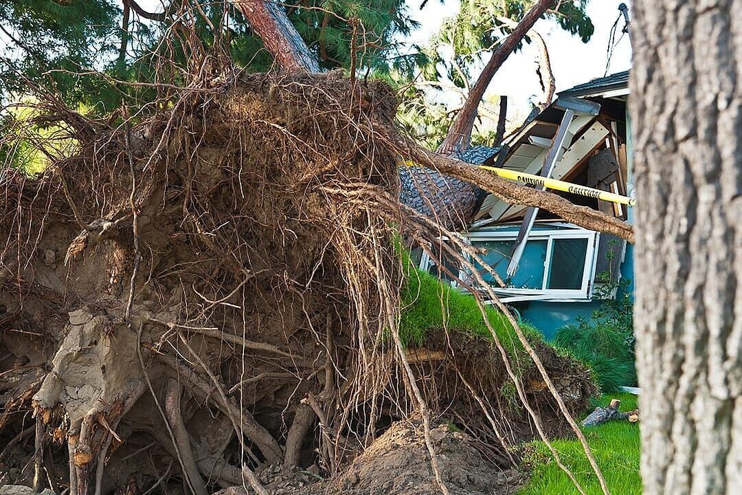 How insurance claims work for storm-damaged properties