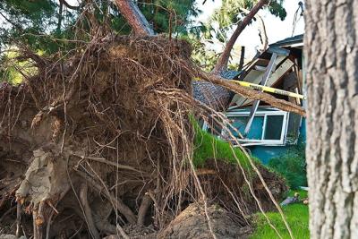 How insurance claims work for storm-damaged properties