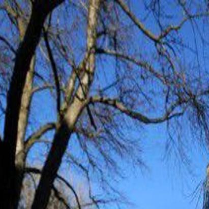 Nebraska State College System Proposes Cut For Online Tuition Prices Education Journalstar Com