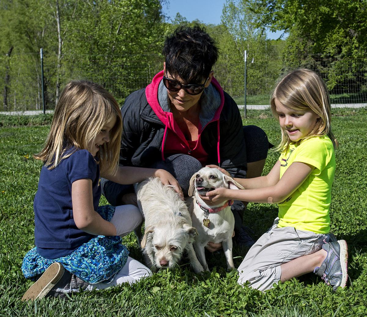 Lincoln Dog Run campaign announces Dog Bowl fundraiser for dog parks