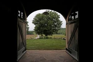 featured-image