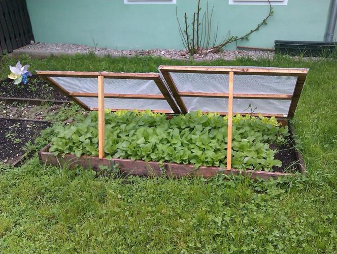 coldframe1