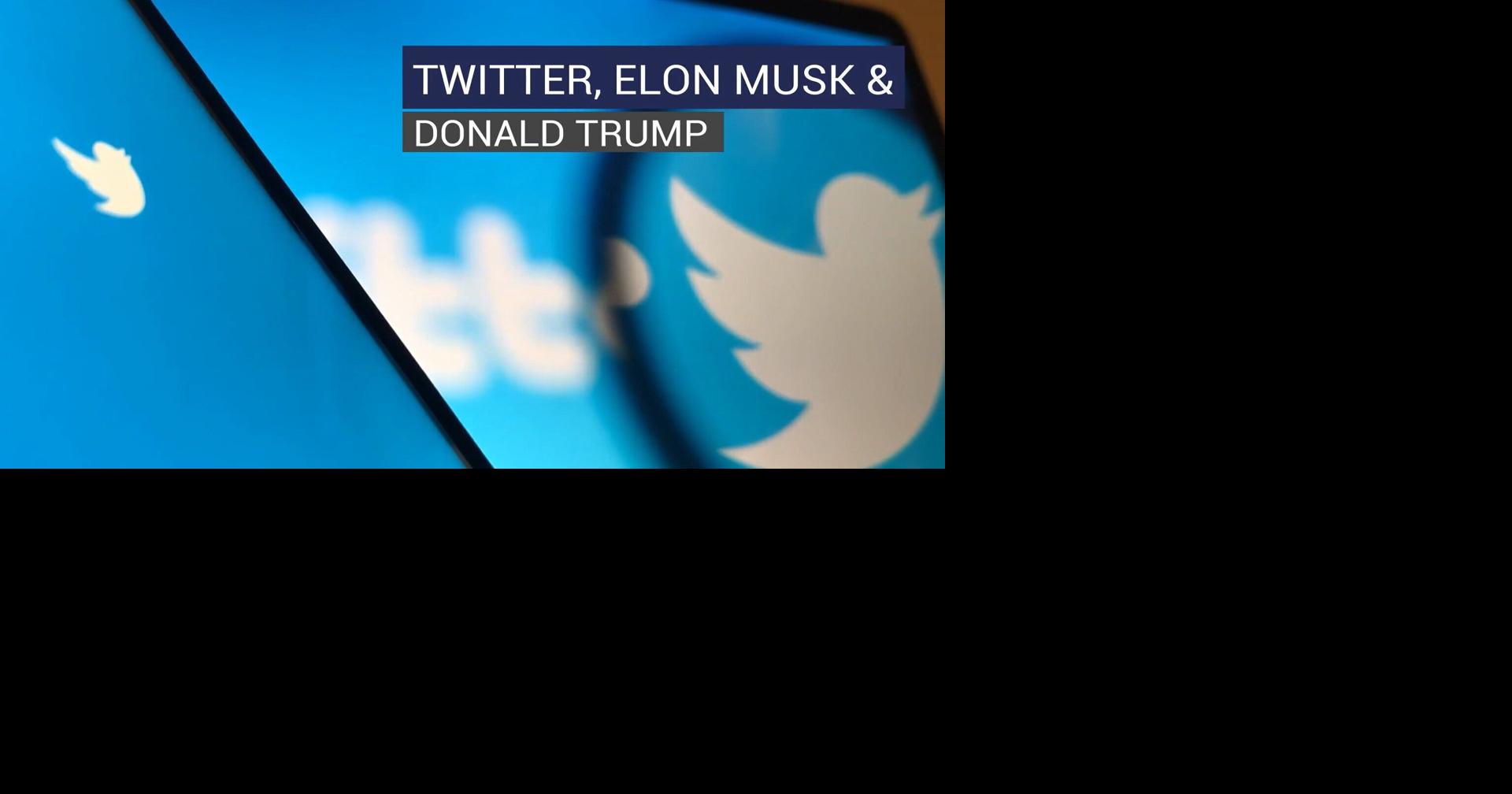 Twitter, Elon Musk & Donald Trump