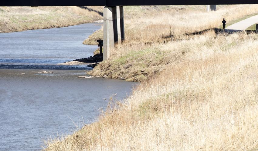 Salt Creek levee