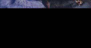 Virginia Ann Buckley