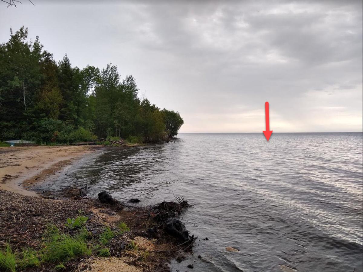 Bald eagle shows air superiority, sends government drone into Lake Michigan
