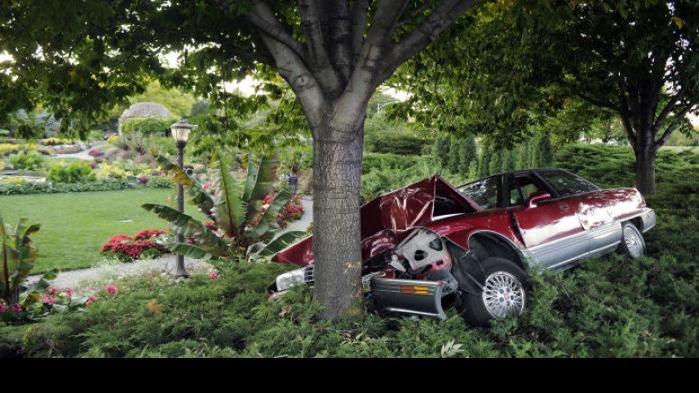 Car crashes at Sunken Gardens | Local | journalstar.com