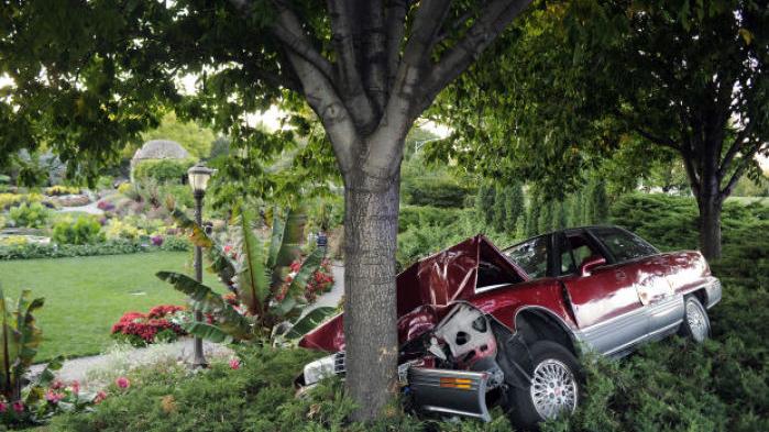 Car crashes at Sunken Gardens | Local | journalstar.com