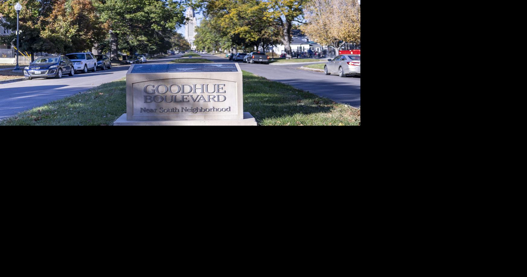 City Council denies appeal of Goodhue tree removal, despite pleas of area residents