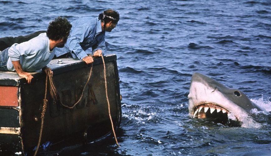 A scene from the movie "Jaws"