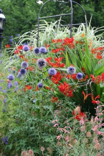 In the Garden: Better together — good plant combinations