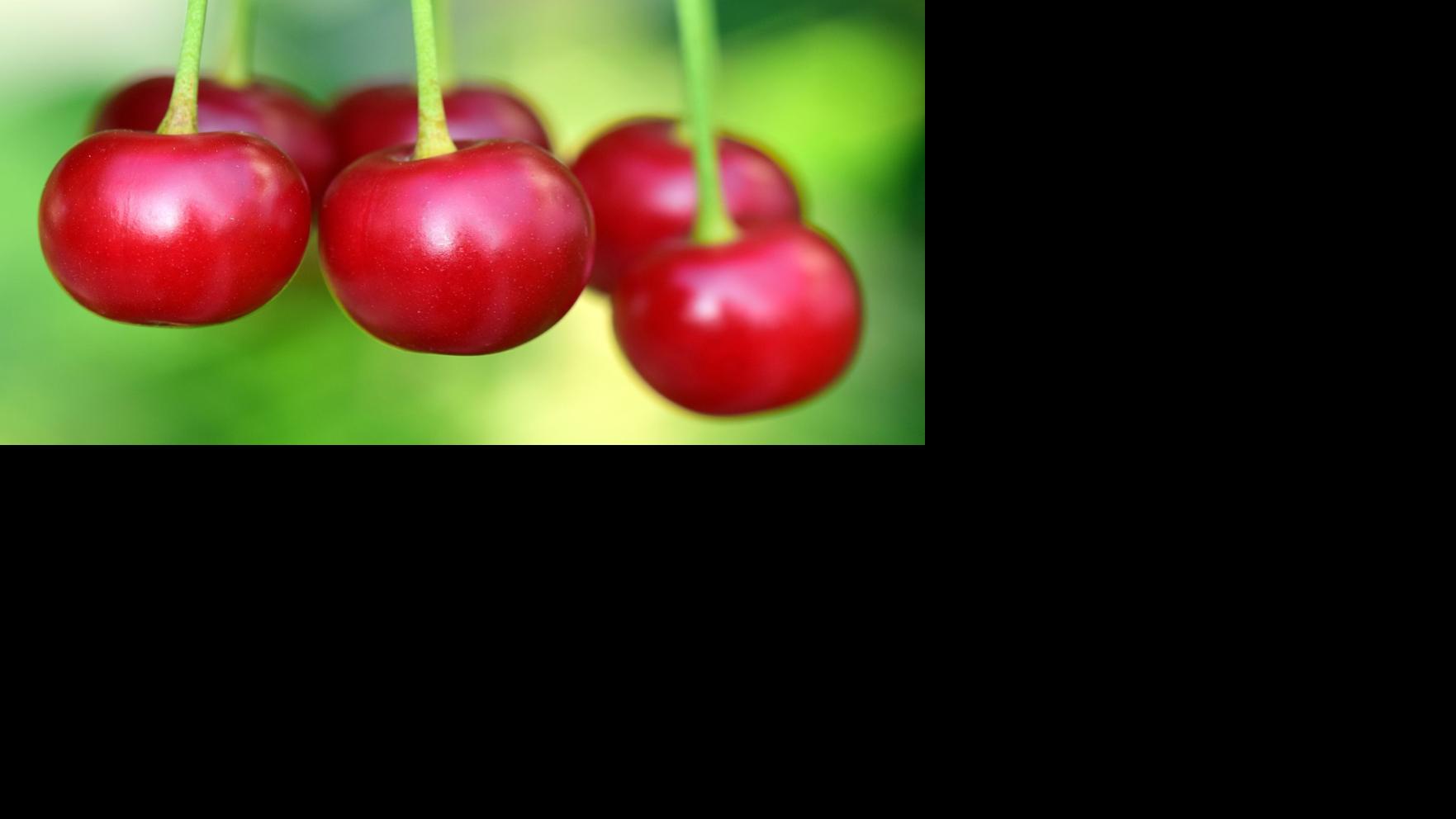 Sarah Browning: Apples, pears flourish in Nebraska | Home & Garden