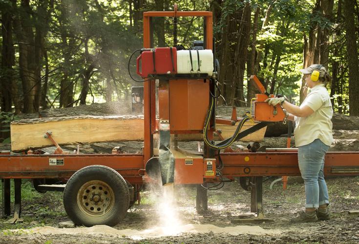 Ash tree milling