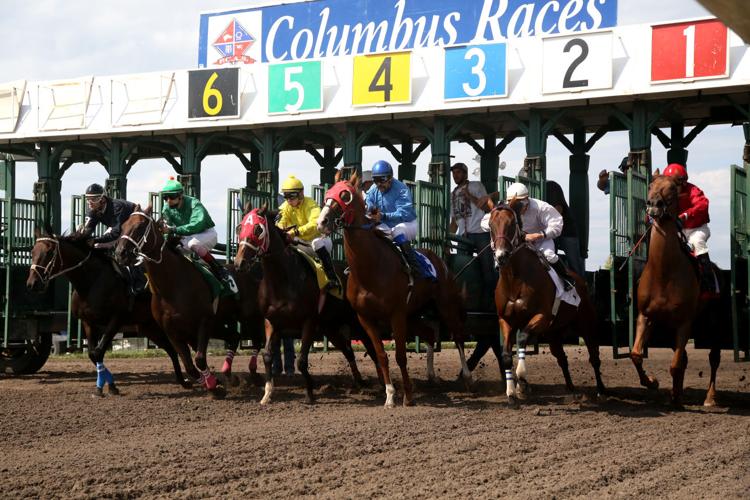 Columbus horse races