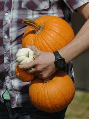 Your guide to area pumpkin patches