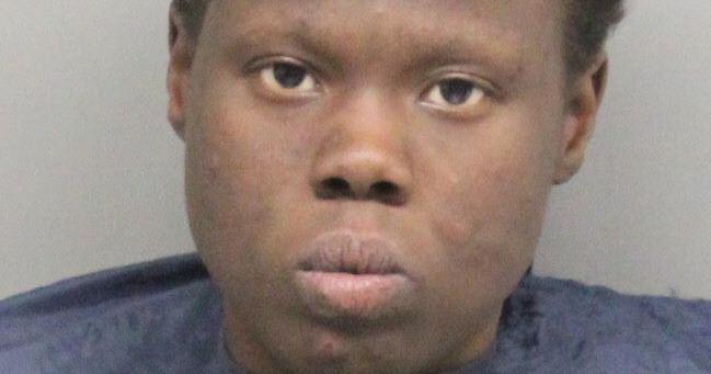Woman punched another woman on Lincoln sidewalk, then assaulted police ...
