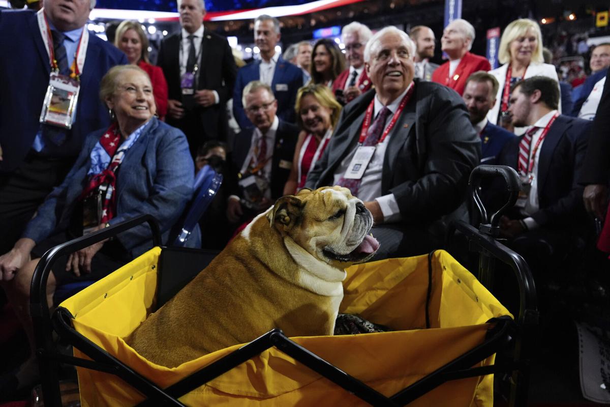 Babydog steals the spotlight at the RNC