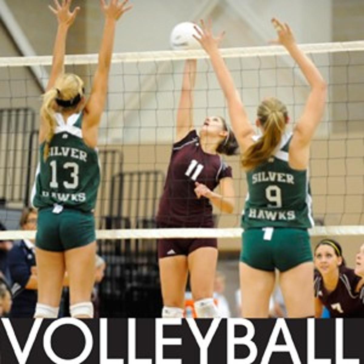 Honorable mention All-State volleyball