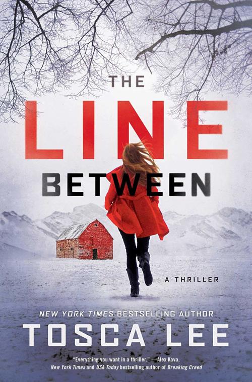 Review Lincoln S Lee Offers Great Summer Read Book Reviews And
