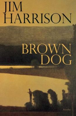 Brown Dog