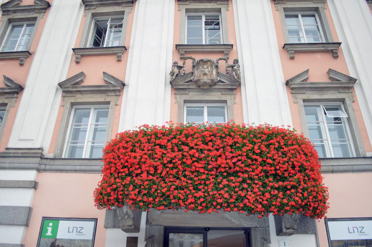 Danube River in October: Low Water, High Enthusiasm | Lifestyles ...