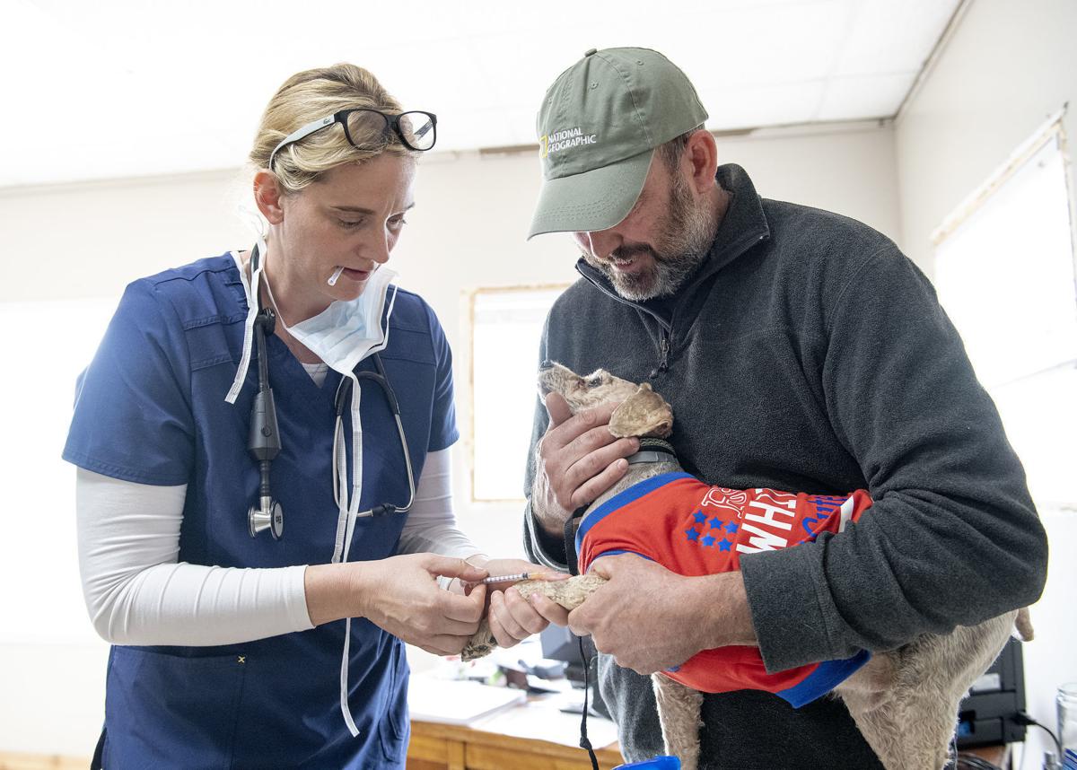 Hartington vets share stories with TV audience