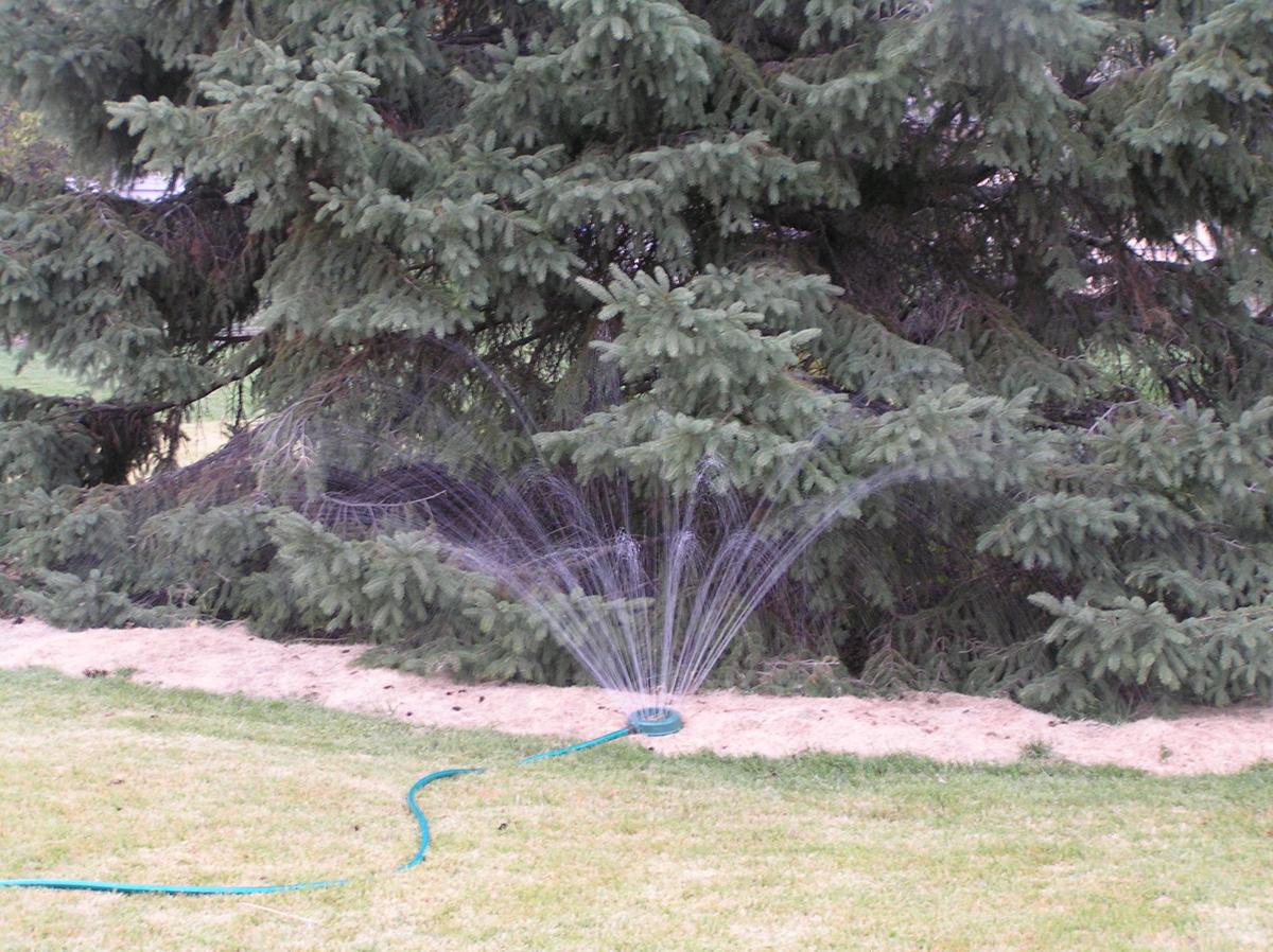 sprinkler