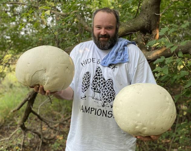 mushroom 1