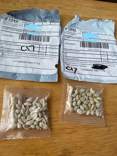 Mystery seeds