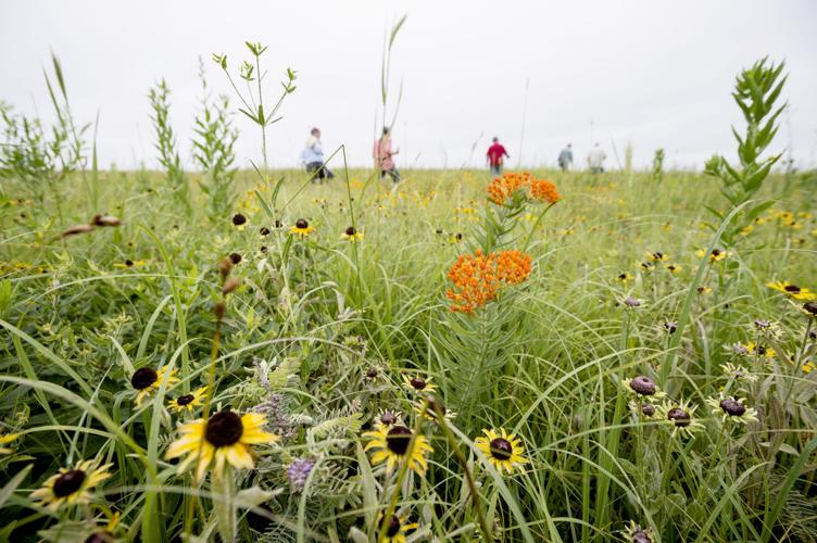 Dieken Prairie