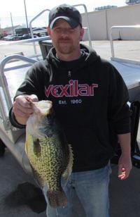 Triploid crappie