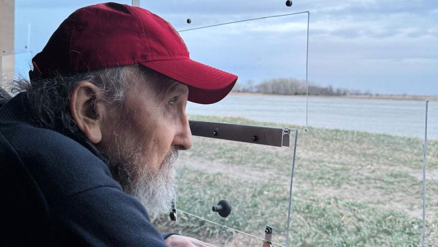 Sandhill crane migration