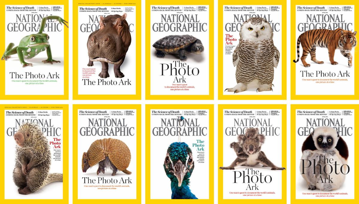 Sartore S Photos Lincoln Zoo Animals Featured On 10 National Geographic Covers Local Journalstar Com